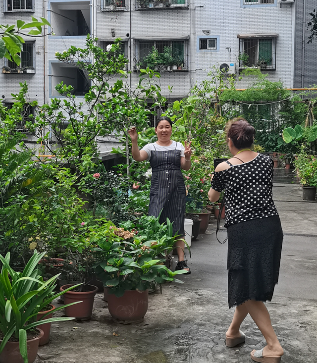 四川省民生研究会新媒体中心-官网