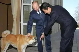 北方四岛之争的背后，日本为什么唯独惹不起俄罗斯？图片