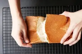 解决吐司老大难问题！终于解决了！扶起软妹子吐司的腰腰！图片