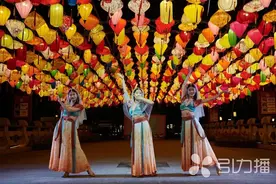 日赏花海夜赏灯，去常熟尚湖牡丹花会踏春吧！图片