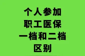 职工医保一档二档区别图片