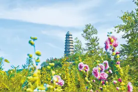 突出高质量发展主题 努力建设更有实力更富活力更显魅力的新富县——访富县县委书记李彦侠图片