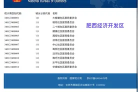 肥西经开区竟为合肥市主城区？图片