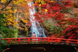 9000个必学日语单词（40）图片