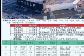 平淡接地气，特斯拉普工招聘被挤爆，给职业教育带来的启示图片
