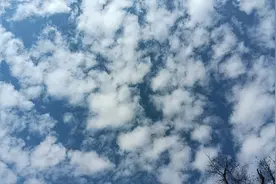 一月份工资多了2800元不知是啥钱？工资发放与款项扣除应该有明细图片