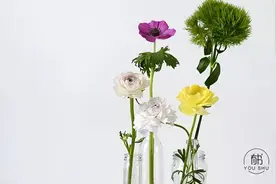 中国老话，这10句最养人，句句在理图片