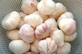 正宗糖醋蒜怎么腌？配方和比例告诉你，酸甜嫩爽开胃，做法超简单图片