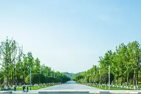 十大公园+百里绿廊+口袋公园！空港新城打造“公园城市”图片