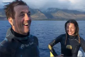 原来它们也有“性丑闻”，这片看完让我大开眼界图片