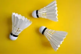 yy尤尼克斯热门羽毛球盘点！图片