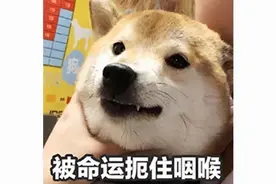 个人主页皮肤展示，一般人看价格，会玩的：这四款皮肤体现实力图片