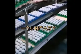 市场上出现了人造鸡蛋，而且成本只要1角钱？真相是……图片