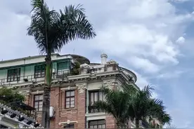 双11值得买的三款手机，华为苹果各一款，京东唯品会各有优势图片