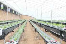 【春耕生产正当时】陇西菜子镇：抢前抓早备春耕 不负农时不负春图片