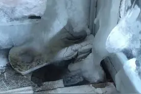 黑龙江甘南县东阳镇供销楼、鑫鑫小区居民：白天13℃！暖气拔凉窗户结冰图片