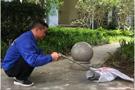 四川一大蛇被困农家乐，挣扎无果选择“躺平”，大蛇为何频现身？图片