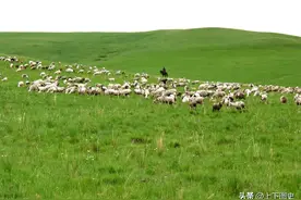 古代史简述之辽图片