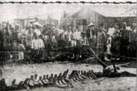 1934年辽宁一山村发现蛟龙坠地，70年后有人上交龙骨，真相如何？图片