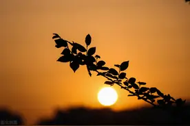 雅俗共赏粤语词 几何图片