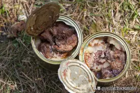 南方VS北方，中国到底哪里的罐头最好吃？图片