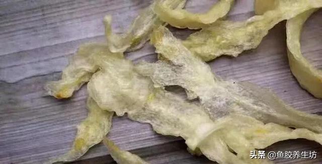 巴沙鱼的鱼胶为什么便宜 巴沙鱼的鱼胶为什么便宜一点