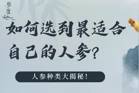 人参种类多，选起来头秃秃？看完这篇文章，教你选对人参图片