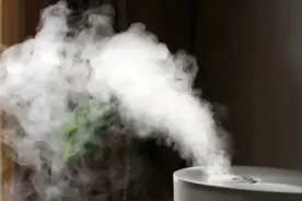 人民日报建议：不要让加湿器变“加毒器”，不是唬人，是教训图片