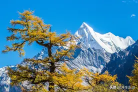 可以用来当名字的古代月份雅称，高级又惊艳图片