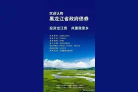 揭秘黑龙江省政府债券发售：购买是否划算？图片