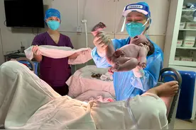 心急宝宝“抢跑”在元旦出生，新手爸爸激动见证分娩过程图片