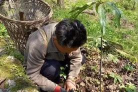 一男子捕蛇无数，后被蛇群围攻连咬9口身亡，蛇真的会记仇吗？图片