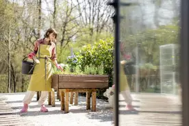 别再说自欺欺人的话，珍惜公婆对自己和家庭的好，才是最正确的。图片