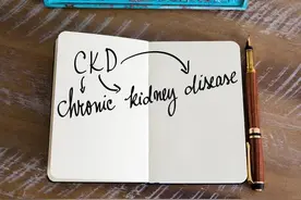 护肾、抗肾损伤、降尿蛋白，4种治疗慢性肾病的中成药，您要知道图片