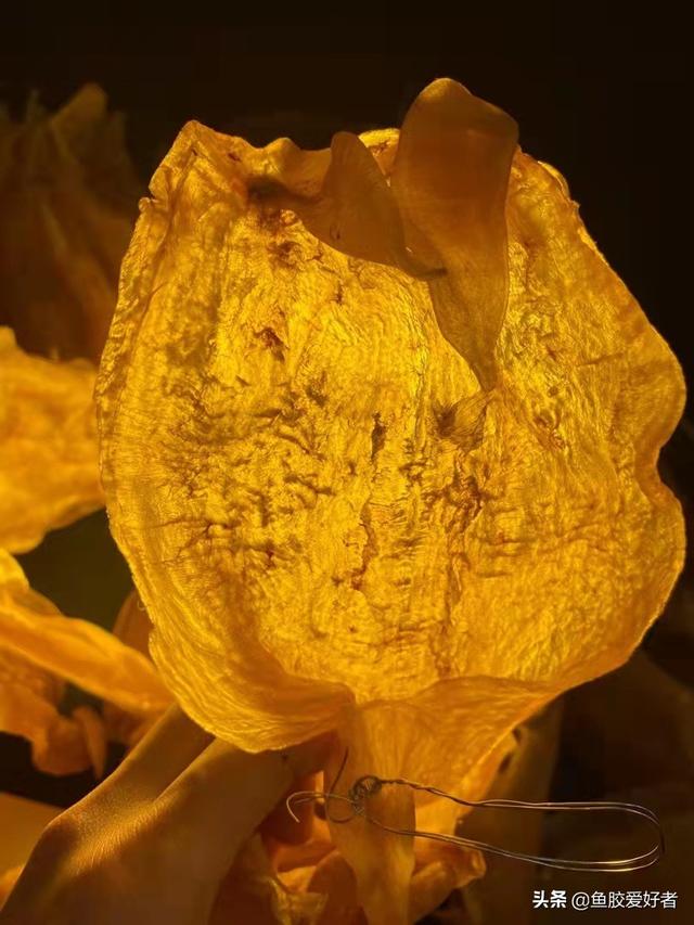 北海阴阳胶和北海胶的区别 2026年北海阴阳胶和北海胶的区别在哪