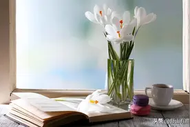 普通人，最后一次“改命”的机会：50岁那年，碰到这些吉兆图片