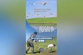 我的故事丨我愿意为你……图片