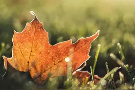 兄弟姐妹关系再好，也别去帮这2种忙，哪怕得罪他也要拒绝图片