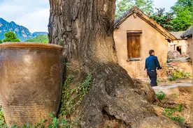 一座小孤山，一个老村子，老房子悄悄在消失，蕴藏的故事在流传图片
