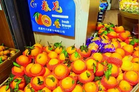 柑之如饴！耙耙柑提早上市，尝鲜价不便宜图片