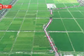 习近平海南行丨植根“南繁硅谷”做强种业“芯片”——走进崖州湾种子实验室图片