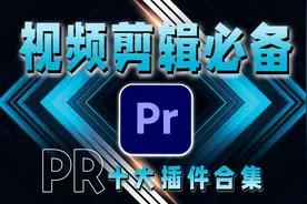 视频剪辑必备，PR必备精品十大插件合集图片