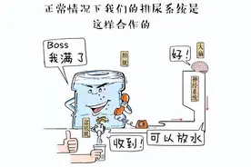 协和科普：一喝水就想上厕所？当心是膀胱“失控”图片