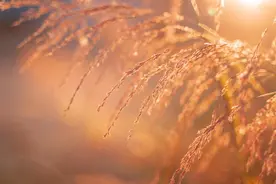 73岁坎怎么避开图片