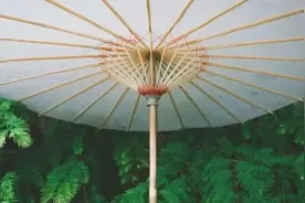 老话说“喜不送伞，寿不送烟，丧不后补”，看看对吗？图片