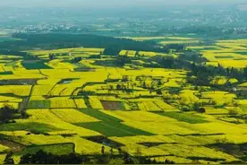 生了三个女孩的70后农村父亲，没能生出儿子，多年后我后悔了图片