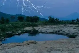 雷击木有什么用？有人用1万元将一棵被雷击的老枣树买走，值吗？图片