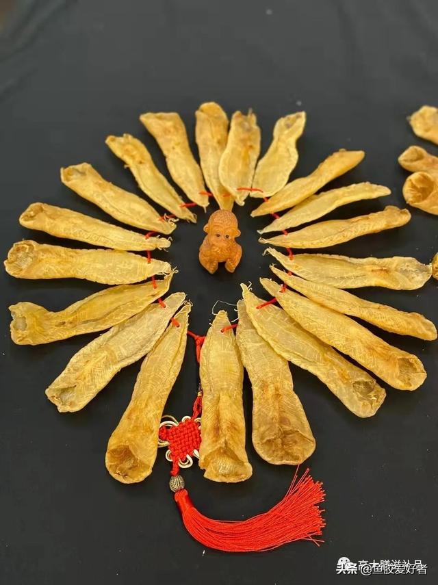 花胶鲍鱼炖瘦肉功效 2026年花胶鲍鱼炖瘦肉功效与禁忌