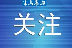 顺丰停摆的13天图片
