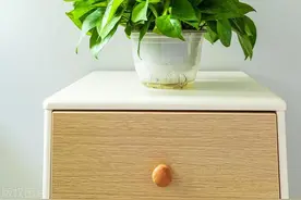 绿萝的寓意，养护简单，优点不少图片